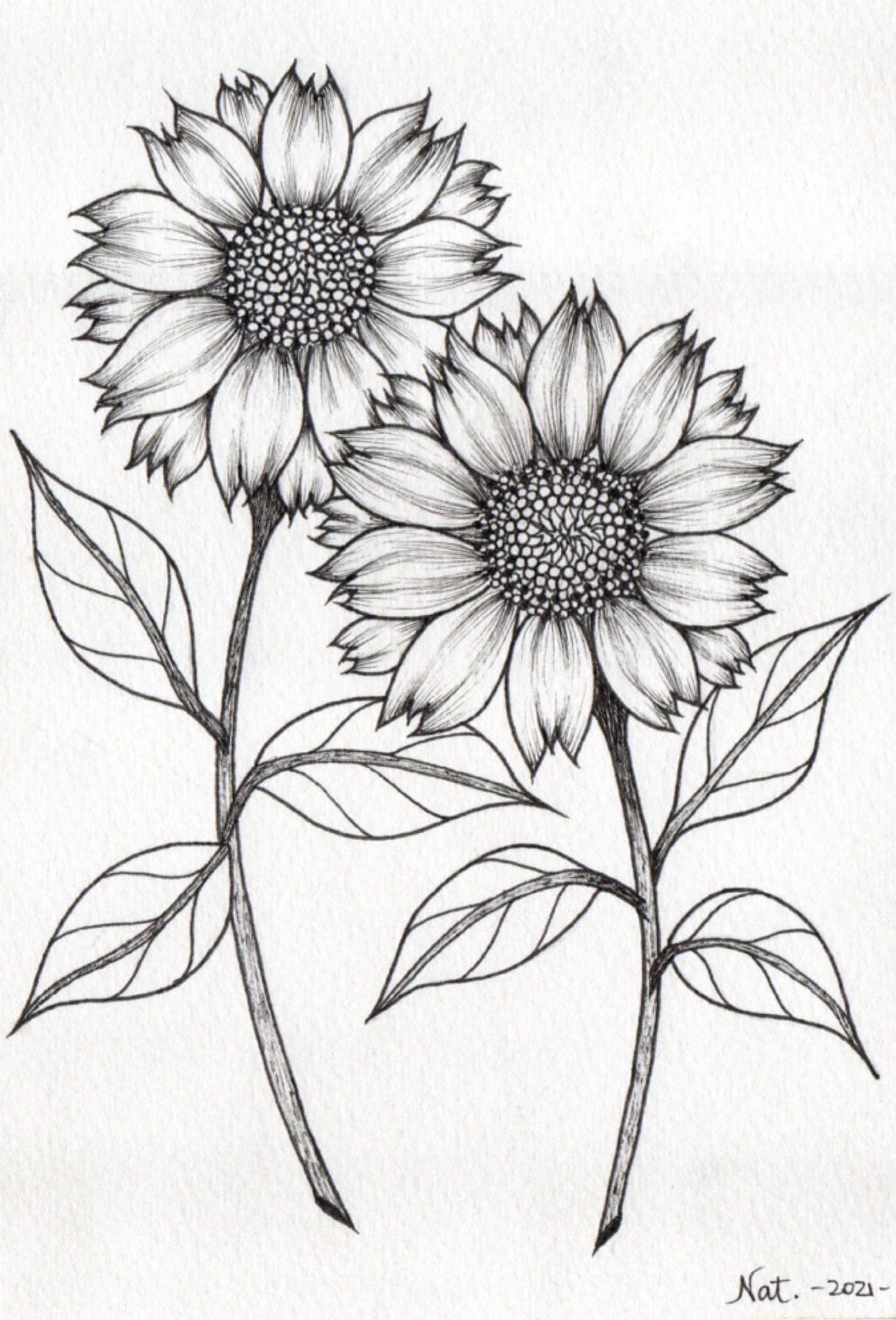 Print Girasoles — Print - Estilógrafos